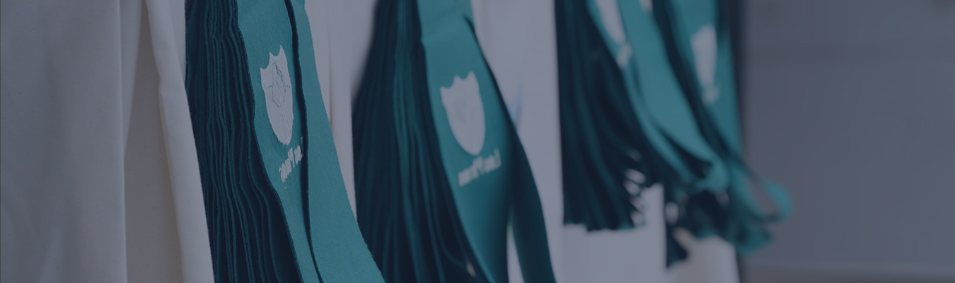 mision-vision-y-valores