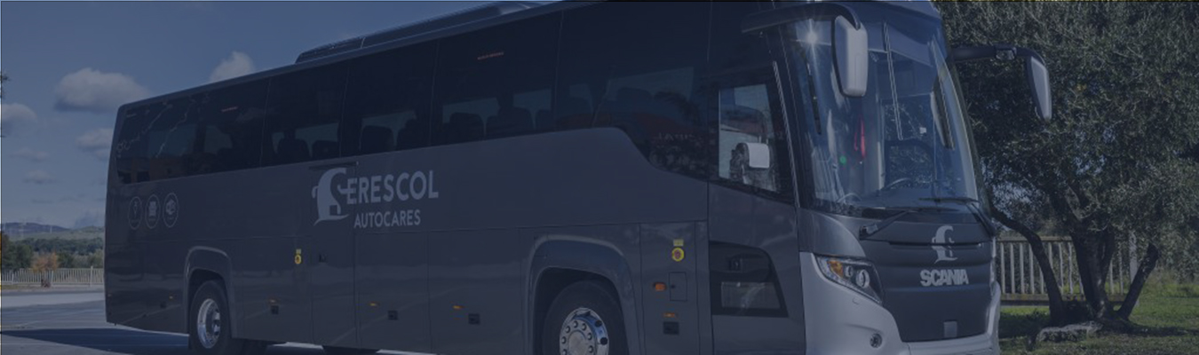 transporte-escolar