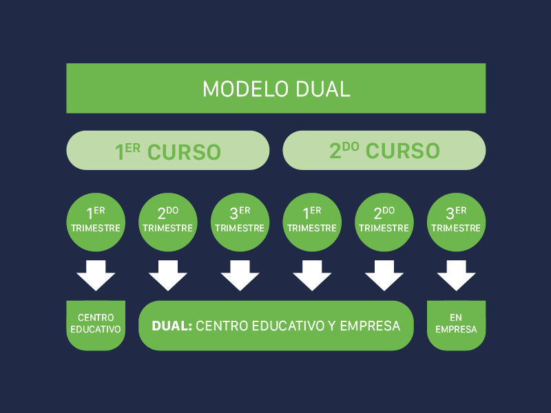 fp dual en algeciras